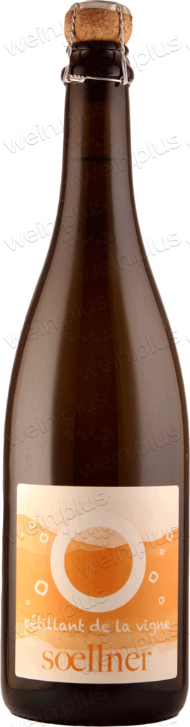 2023 Weingut Soellner Marie Petillant