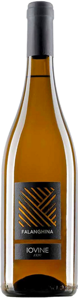 2024 Iovine 1890 Falanghina IGT