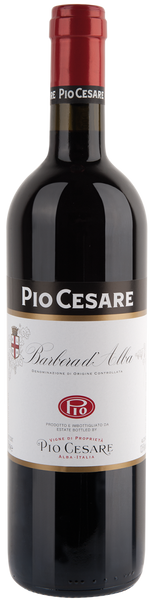 2023 Pio Cesare Barbera d'Alba