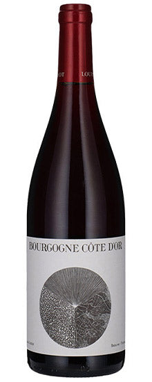 2020 Louis Jadot Bourgogne Cote d'Or Rouge