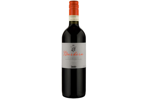 2024 Cantine Volpi Amonte Piemonte Barbera