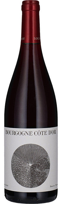 2022 Louis Jadot Bourgogne Cote d'Or Rouge