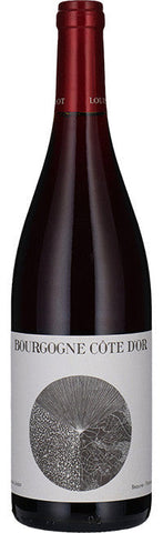 2023 Louis Jadot Bourgogne Cote d'Or Rouge