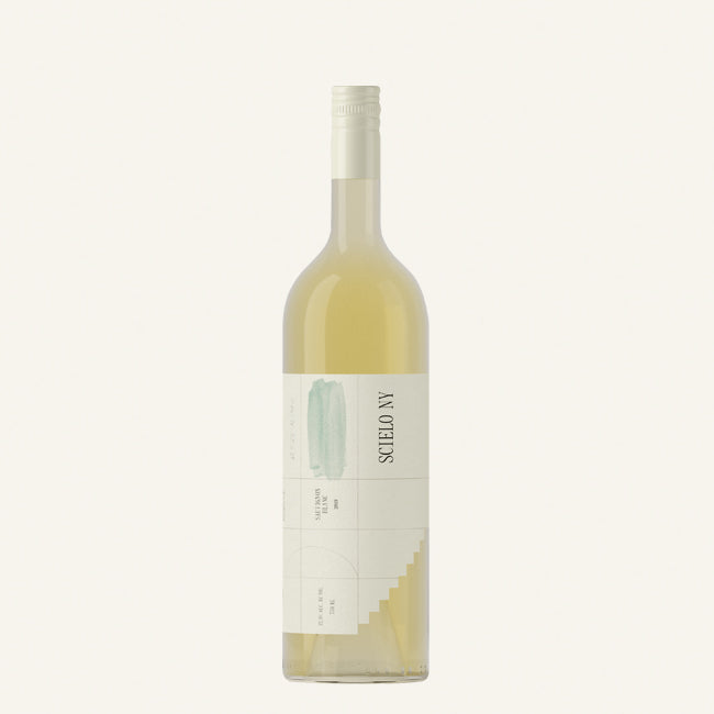 2025 Scielo Ny Sauvignon Blanc RGNY