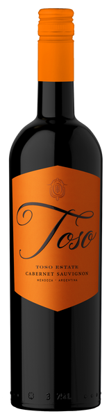 2021 Pascual Toso Cabernet Sauvignon